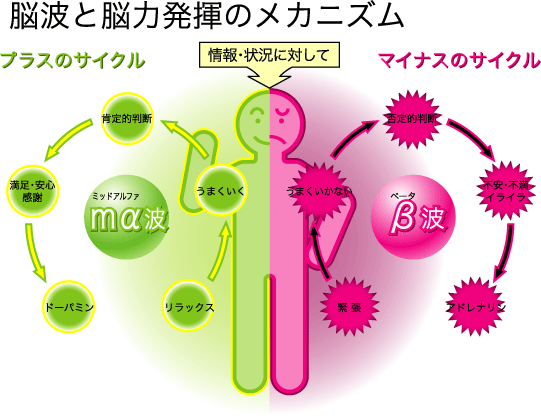 �]�g�Ɣ]�͔����̃��J�j�Y��